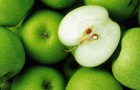 Яблочный экстракт борется с раком успешнее, чем химиотерапия